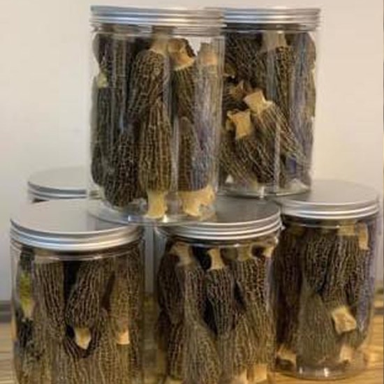 特級野生羊肚菌